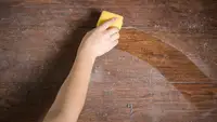 Don't deny that your furniture is filthy