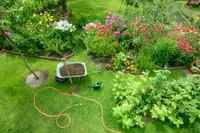 Organic garden