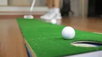 Indoor putting