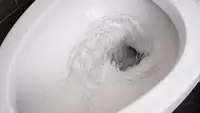 Water flushing down a toilet bowl