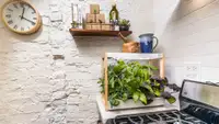 Rise Personal Garden