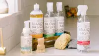 Branch Basics products lined up on counter, accompanied with a sponge and brush