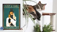 If you love cats, you'll absolutely adore these fun and functional items.