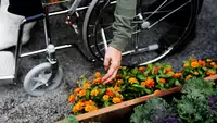 Person leaning over in their wheelchair to tend to orange flowers on ground.