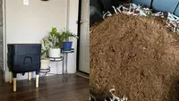On left, small black worm composting bin on floor next to houseplants. On right, brown soil in composting bin.