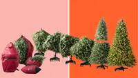 A step-by-step showcase of a flip tree being built in front of a background.