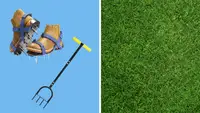 Lawn care equipment in front of a background next to a picture of grass.