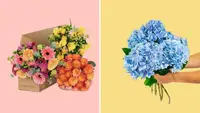 A variety of flowers on a pink and yellow background.