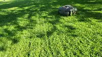 Husqvarna 450XH EPOS robot lawn mower on top of grassy lawn on sunny day.