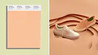 2024 Pantone Color of the Year: Peach Fuzz