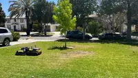 Yarbo Core Robot Lawn Mower shown mowing green grass in front of a series of trees and cars lined on the road.