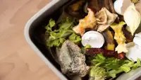 Kitchen scraps in a gray bin for composting
