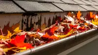Clogged gutter full of fall leaves under roof