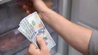 Person holding a stack of cash in front of an open fridge