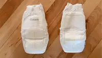 Two pairs of Coterie The 360 training underwear on wooden surface.
