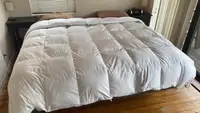 White Pacific Coast Feather & Down Comforter on a bed next to a sliding glass door with two brown pillows at the head of the bed.