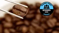 A close look at a coffee bean