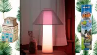 A ceramic house next to a lamp and dog toss balls