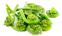 fiddleheads