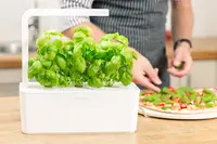Click and Grow Smart Garden Kit