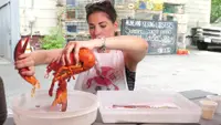Lobster cracking