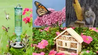 10 products that will help attract wildlife to your own backyard