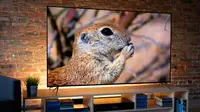 The 65-inch Vizio P-Series Quantum X