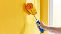 Paint