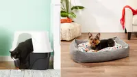 Make your foster pet feel at home with these affordable supplies.