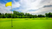 A yellow flag at the 18th hole on a golf course