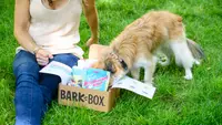 Bark box cute dog head inside