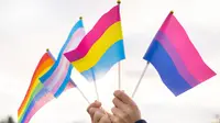 Two hands holding up mini Pride Flags (from right to left: bisexual flag, pansexual flag, transgender flag, and rainbow flag)