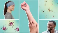 A happy woman, a man scratching his neck, another person scratching their arm, and a bunch of mosquitoes in front of a green background.