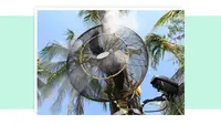 Circulating misting fan mounted onto post in front of palm trees outdoors.