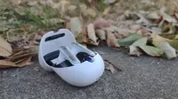 A white earbud case on concrete against fallen leaves