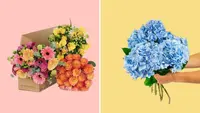 A variety of flowers on a pink and yellow background.