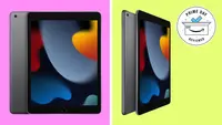 Apple iPad
