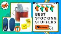 A selection of our best stocking stuffers, including Bombas slippers, Genuine Fred manatee tea infuser, and Starface pimple patches against a holiday background.