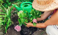 Person planting flowers in a straw hat with a green watering can in the background