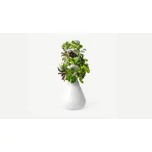 Product image of Lettuce Grow Farmstand