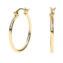 Product image of Classic Hoop Earrings