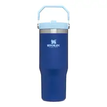 Product image of Stanley IceFlow Stainless Steel Tumbler with Straw