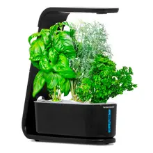 Product image of AeroGarden Sprout 