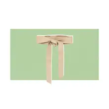 Product image of  B-Low The Belt Demi Wrap Belt