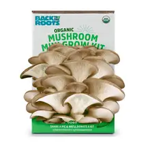 Product image of Back To The Roots Organic Mini Mushroom Grow Kit