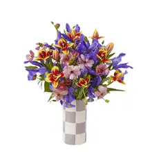 Product image of Iris