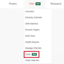 Product image of 40+ Traits to Test