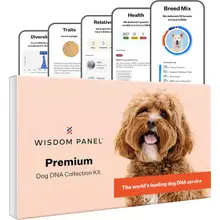 Product image of Wisdom Panel Premium Dog DNA Kit