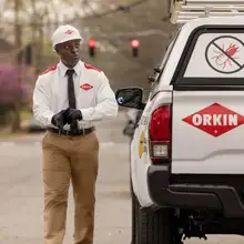 Product image of Orkin