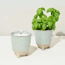 Product image of Glow & Grow Candle Grow Kit